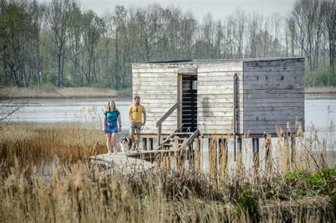 De Mongoolse invasie van Rusland: een kruispunt in de geschiedenis met verwoestende gevolgen en een nieuwe orde in Oost-Europa